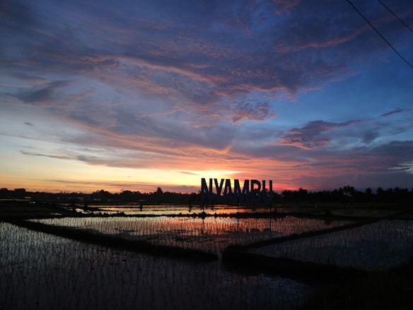 A serene landscape featuring rice paddies reflecting a striking sunset. The sky is a blend of deep blue and orange hues with wisps of clouds. On the horizon, there are silhouettes of trees and large letters spelling 'NYAMPU'.