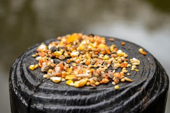 seeds on black surface