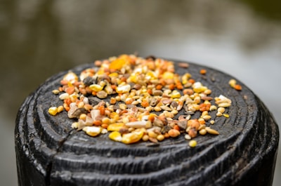 Various seeds spread out on a rustic wooden surface