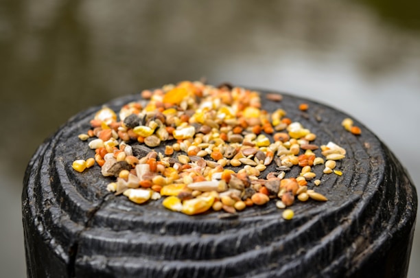 A pile of mixed seeds scattered on a dark wooden surface, likely a tree stump. The seeds vary in size and color, including shades of orange, yellow, and brown against the textured background.