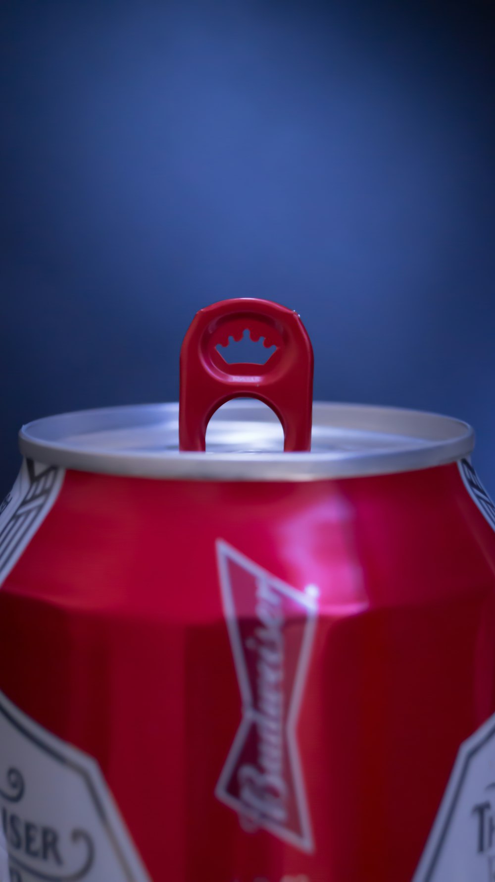 Budweiser beer can