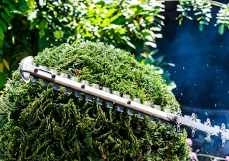 person using hedge trimmer