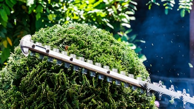 person using hedge trimmer