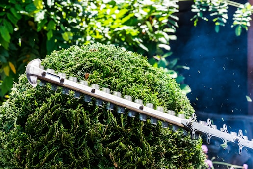 person using hedge trimmer