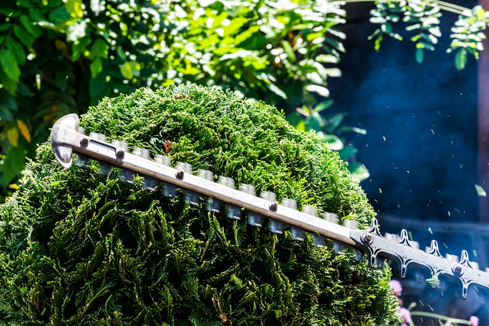 person using hedge trimmer