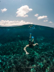man swimming under clear blue sky