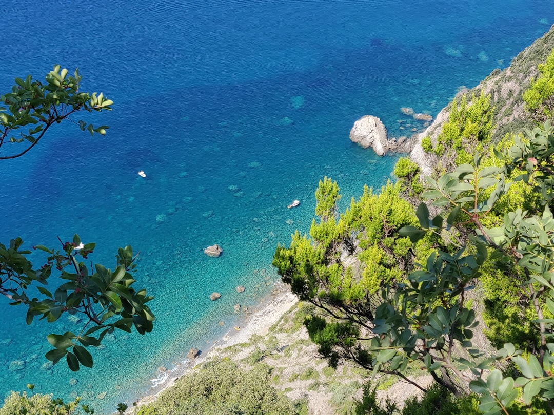 aerial photography of body of water and mountains,