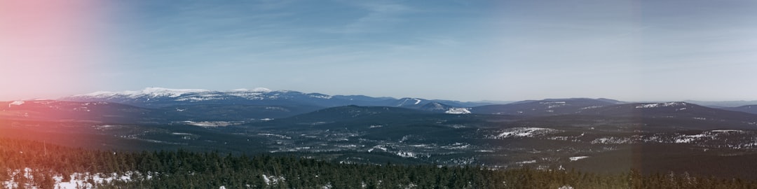 panoramic photo of trees and mountains