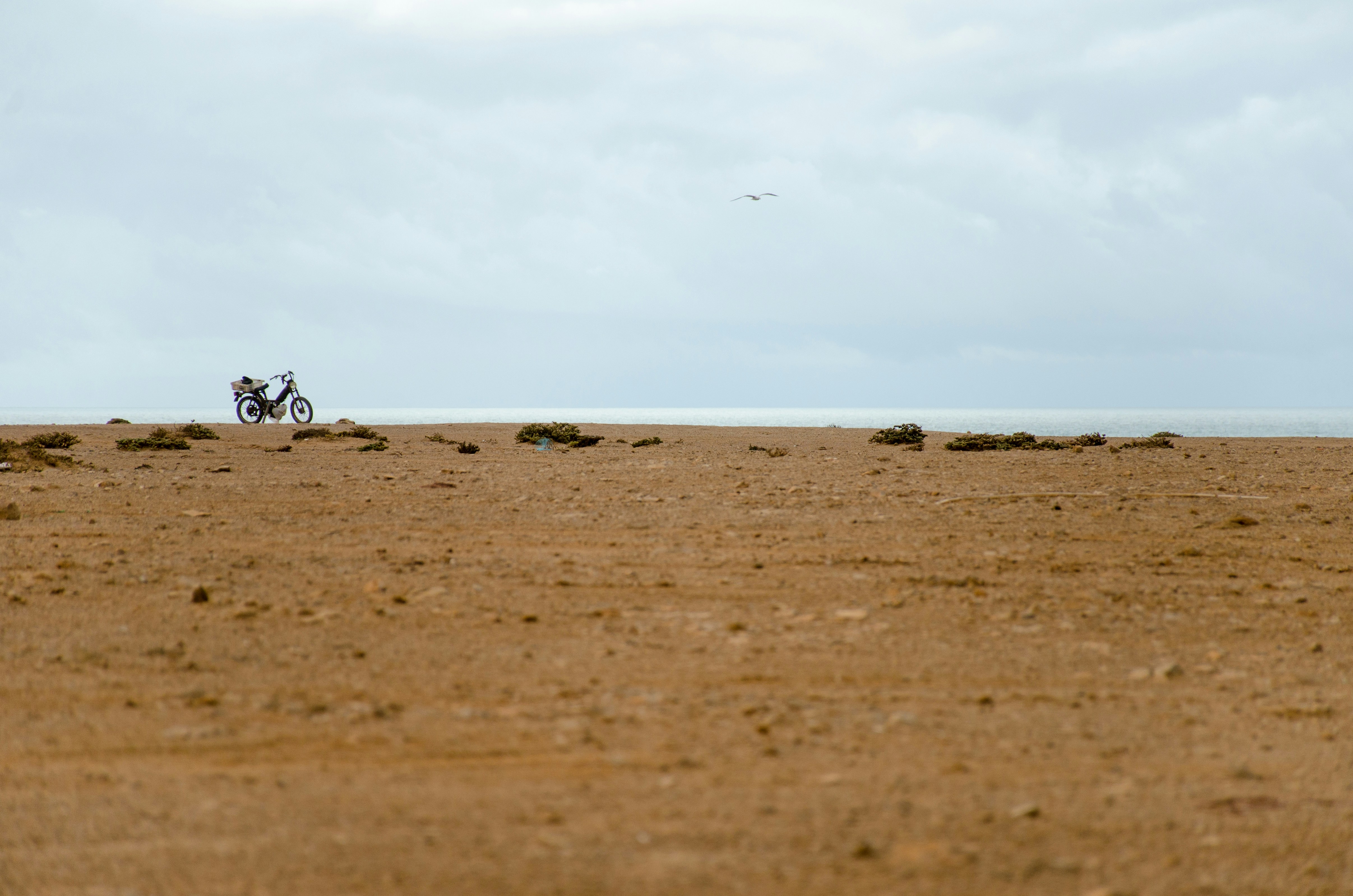 motorcycle in the middle of desert