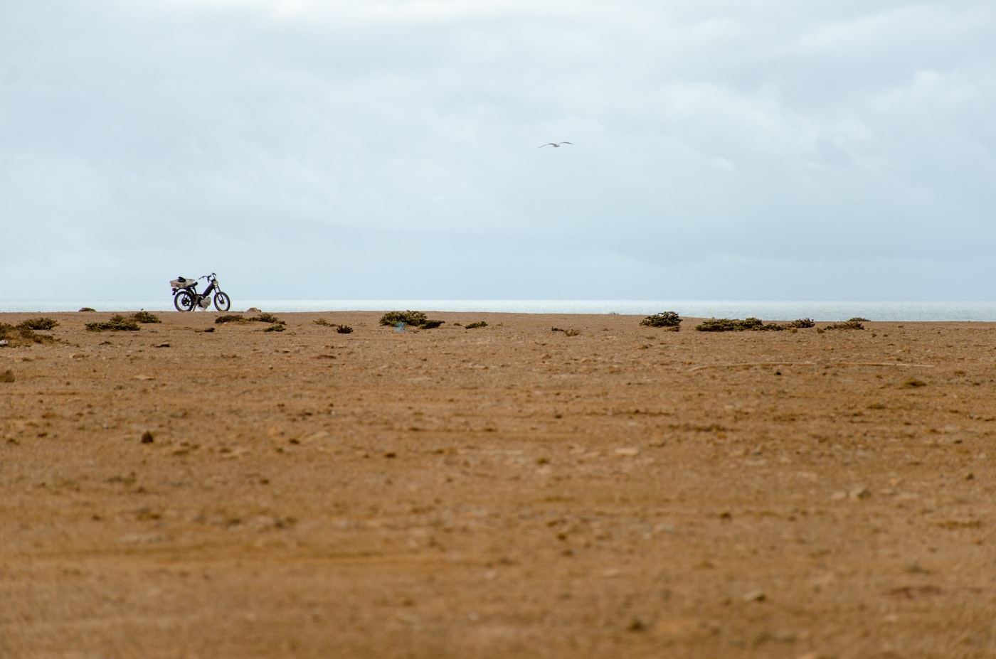 Desert landscape in Western Sahara