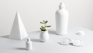 green succulent plant