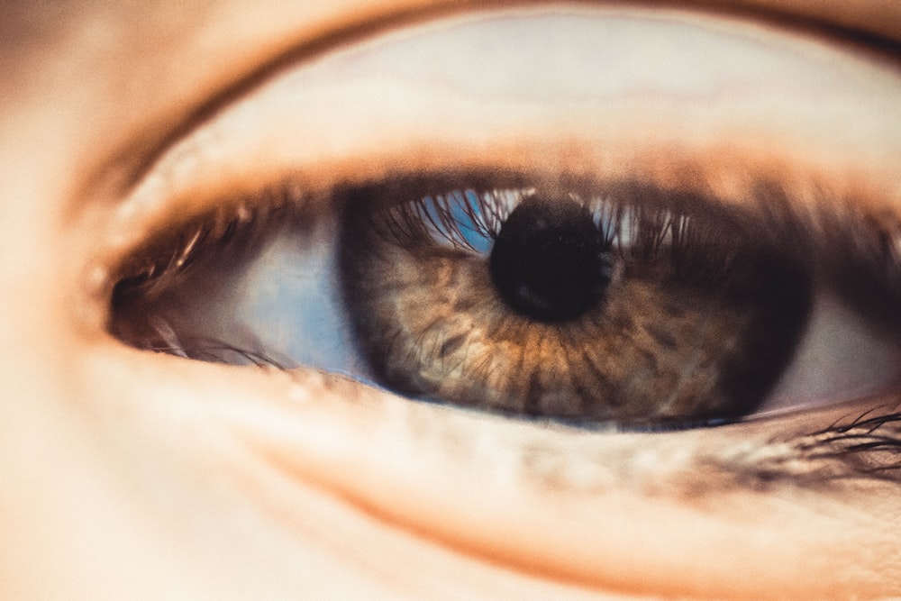 close-up photography of human eye