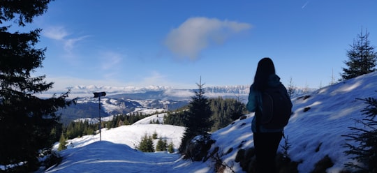 mountain covered with snow during daytime in Moieciu Romania