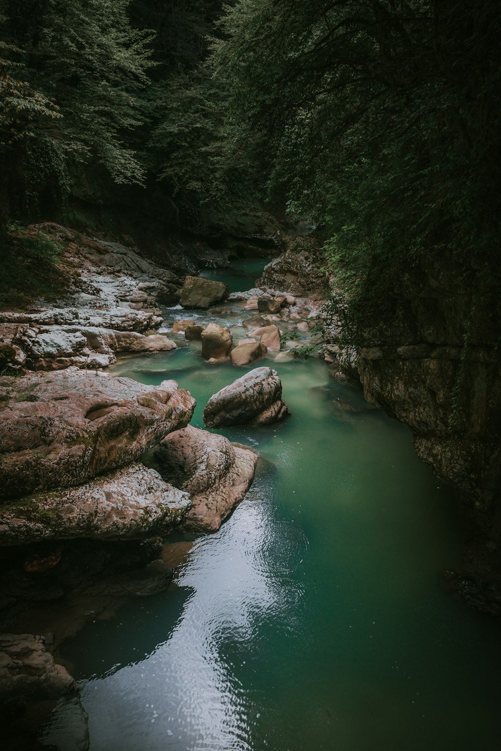 roches dans le plan d’eau