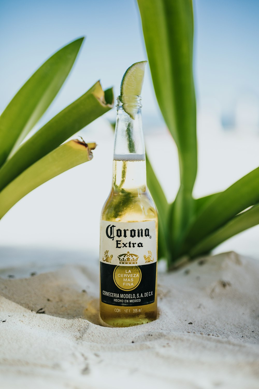 Corona beer top with lime
