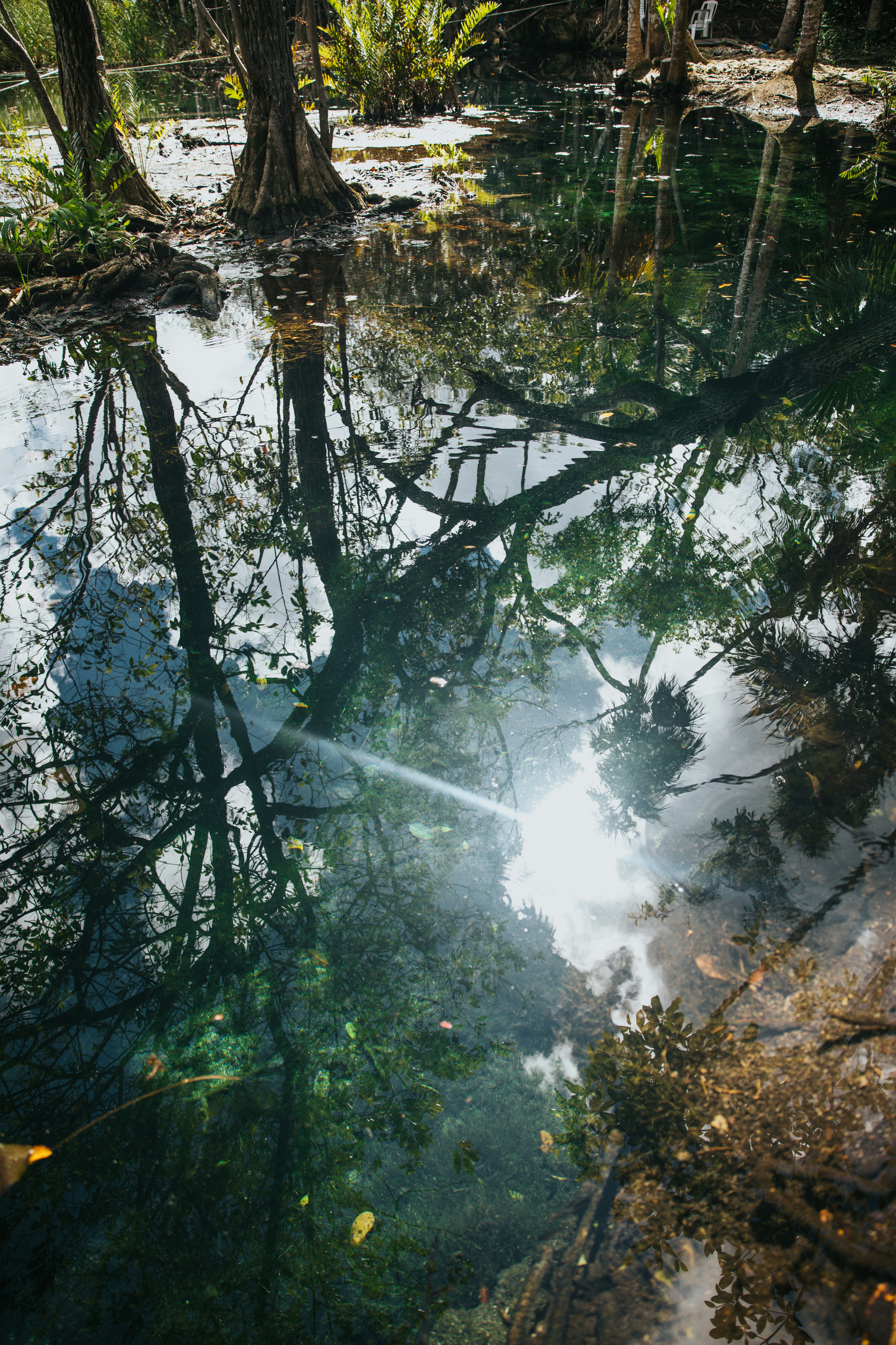 Photo by nate_dumlao