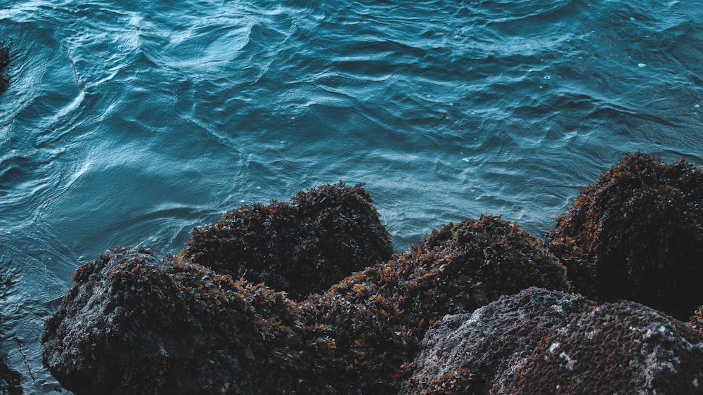 rock formation with body of water