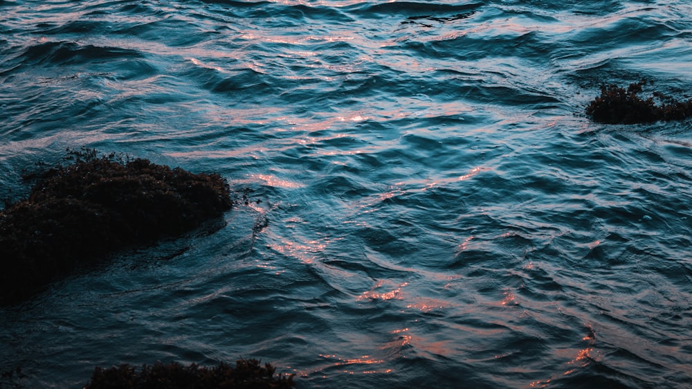 fotografia delle onde dell'oceano