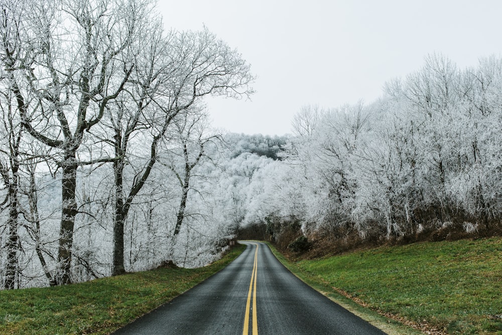 empty road photography