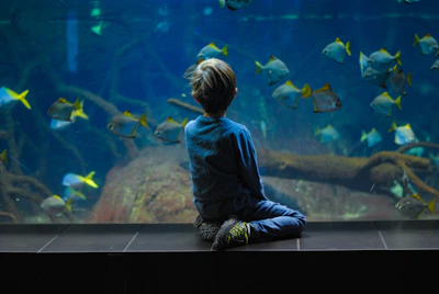 Young scientist Duke observing fish tanks with a magnifying glass.