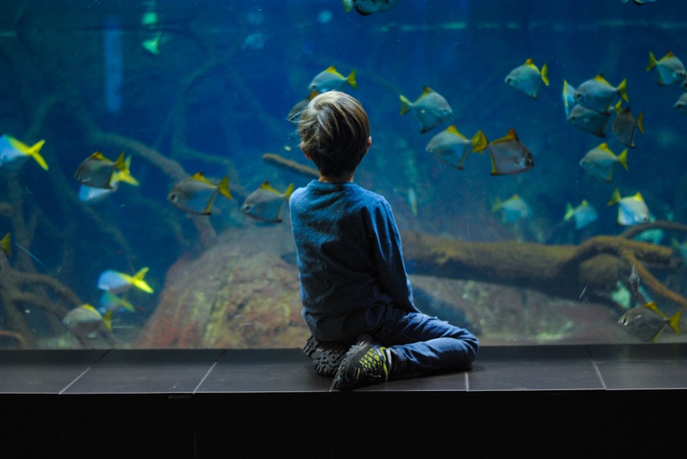 Niño sentado en el acuario
