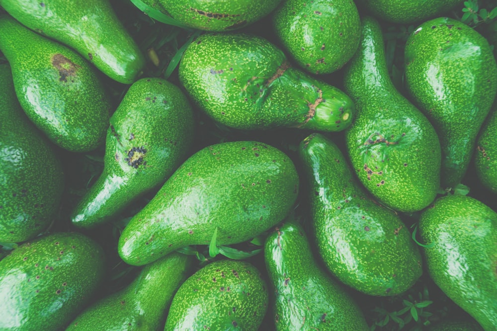 green avocado fruit lot