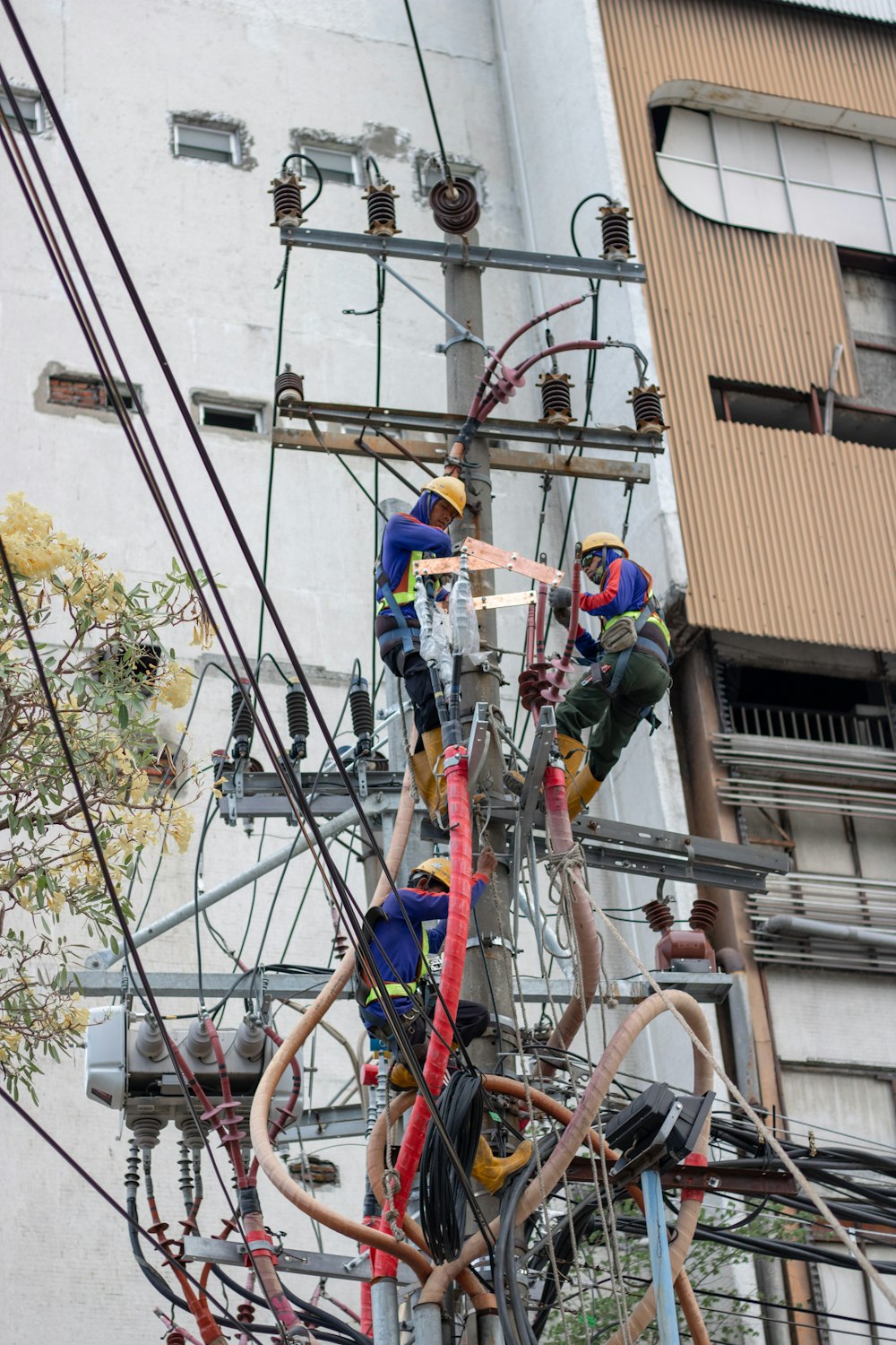 three people climbing on electric post