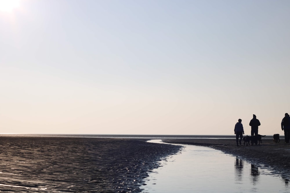 group of people standing near body of water