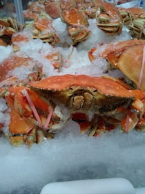 A group of orange crabs displayed on a bed of crushed ice, with some having their claws secured by pink rubber bands. The setting appears to be a seafood market or display.