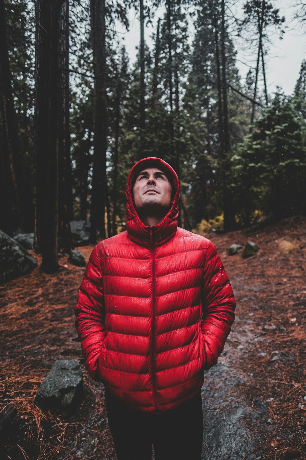 man in bubble jacket walking in forest during daytime