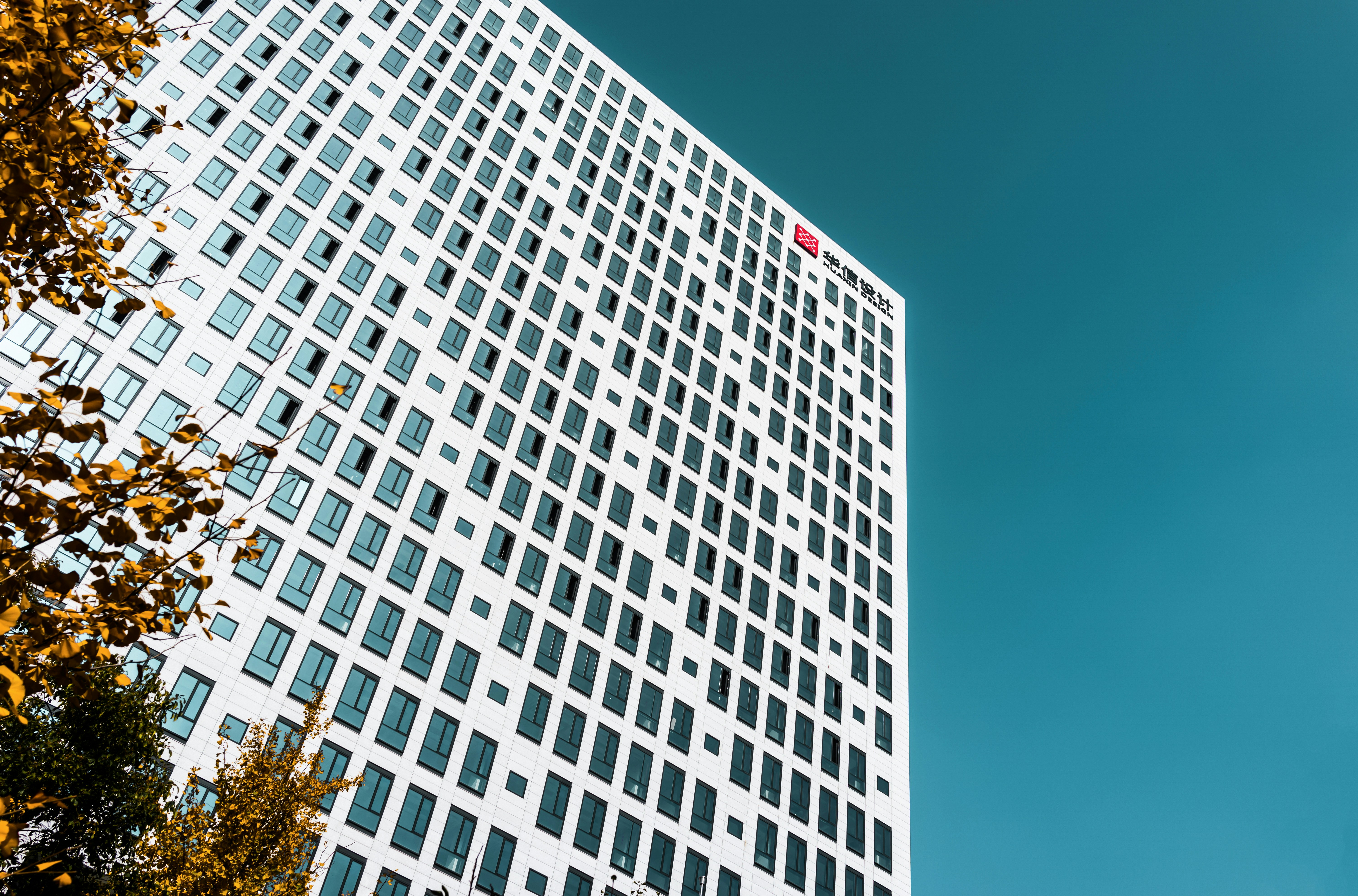 Photo by mocking_bird