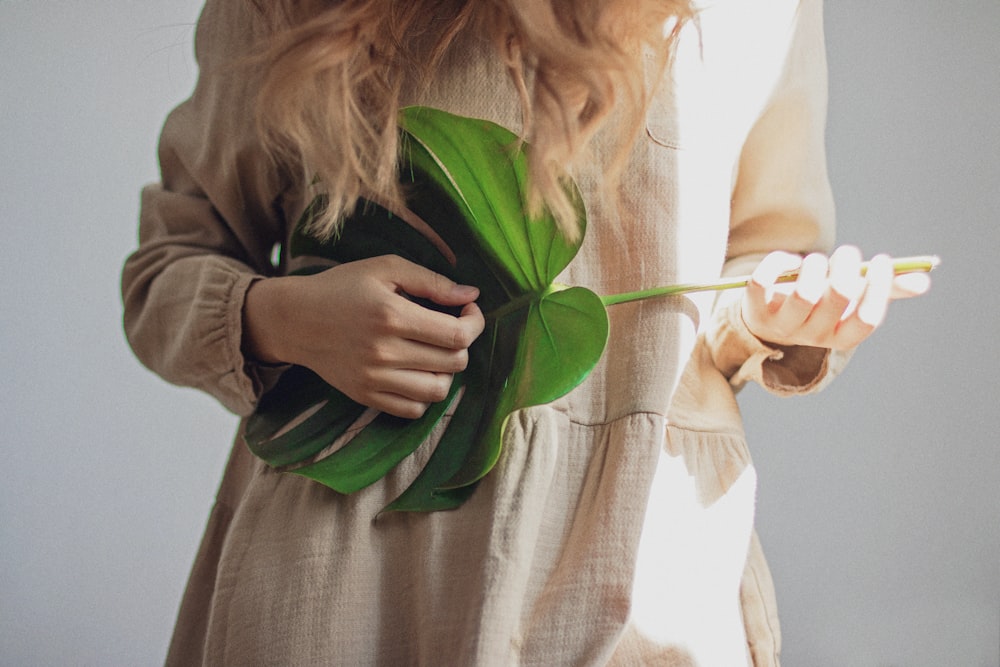 persona sosteniendo una planta de hojas verdes