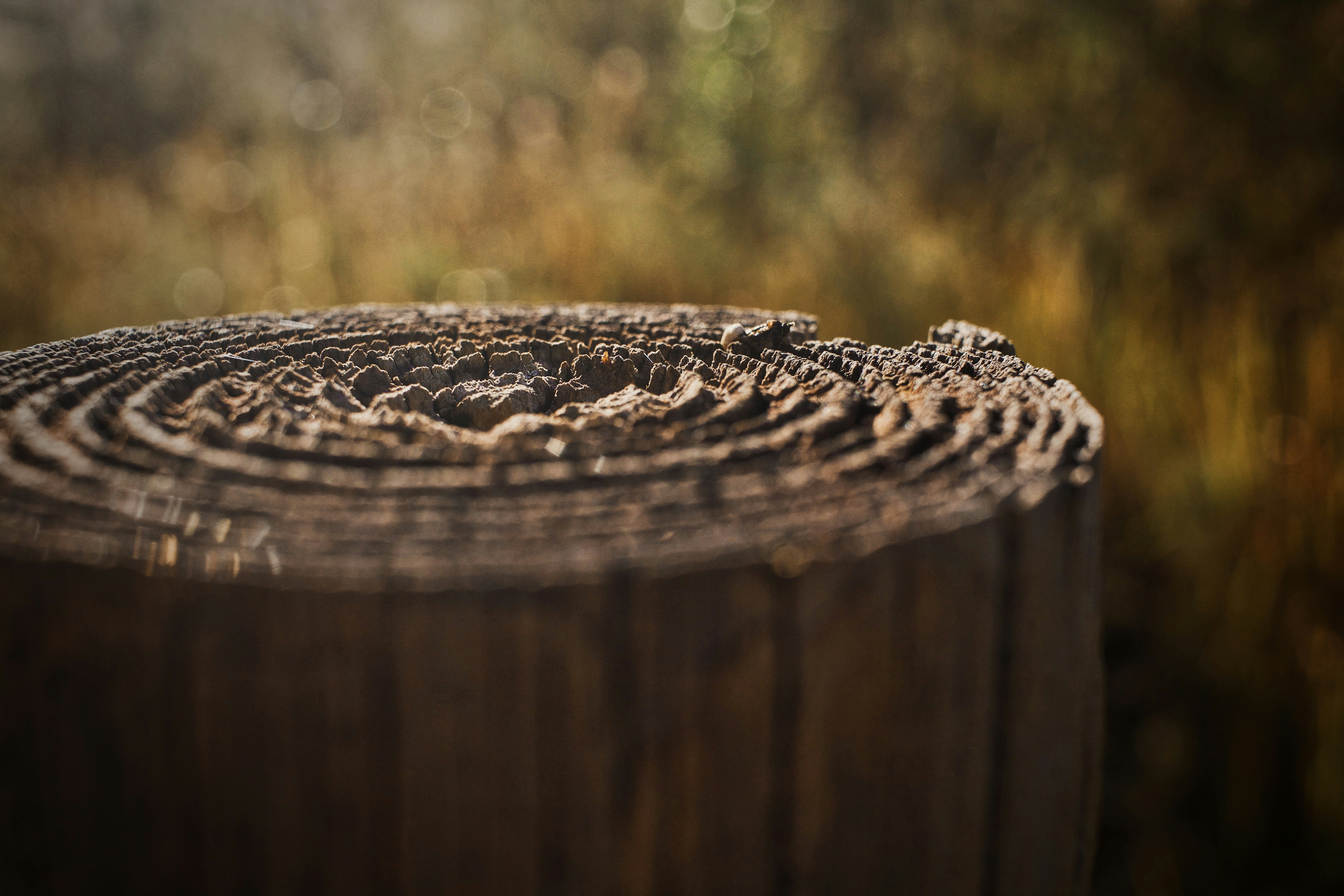 Photo by kaitduffey17