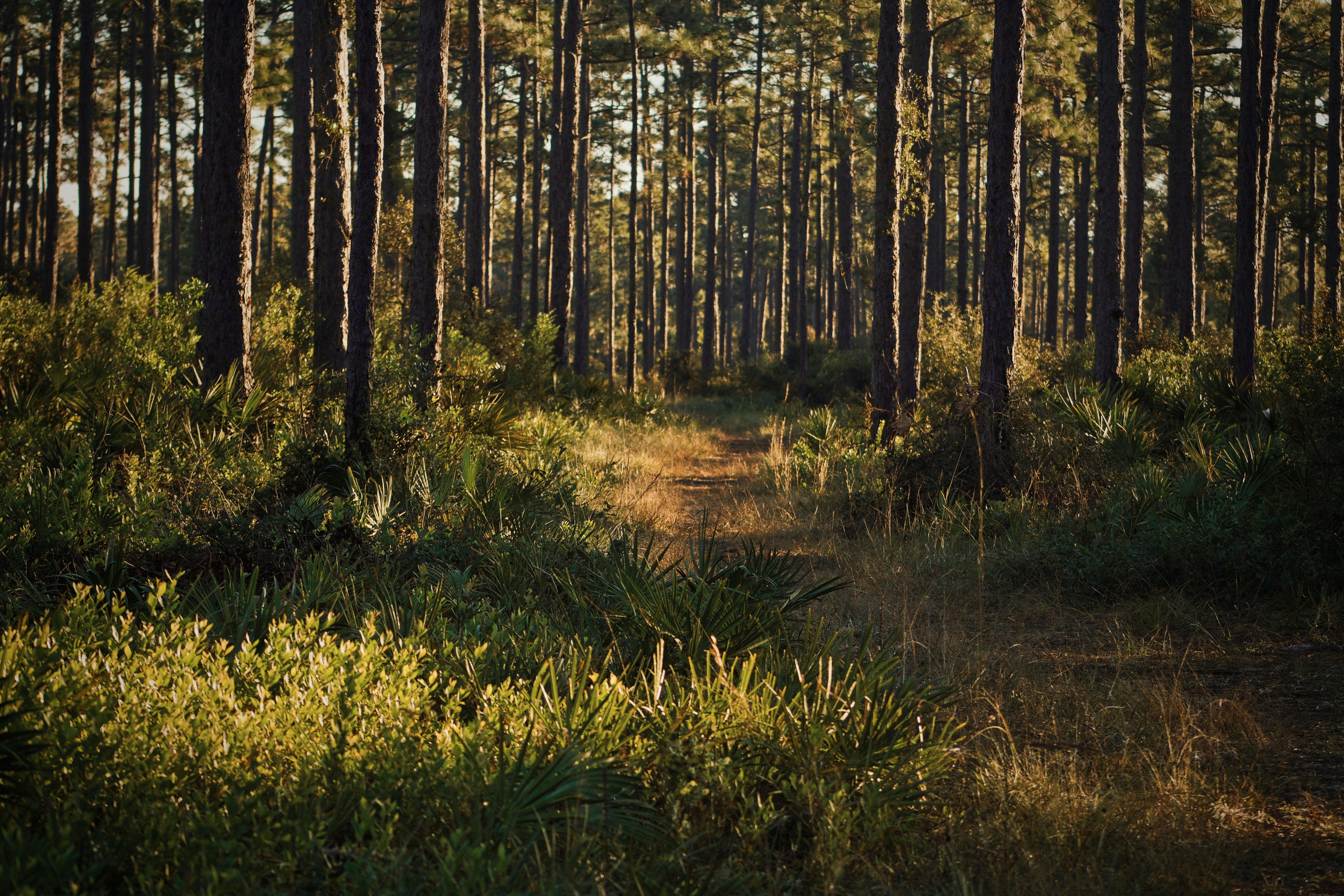 Photo by kaitduffey17