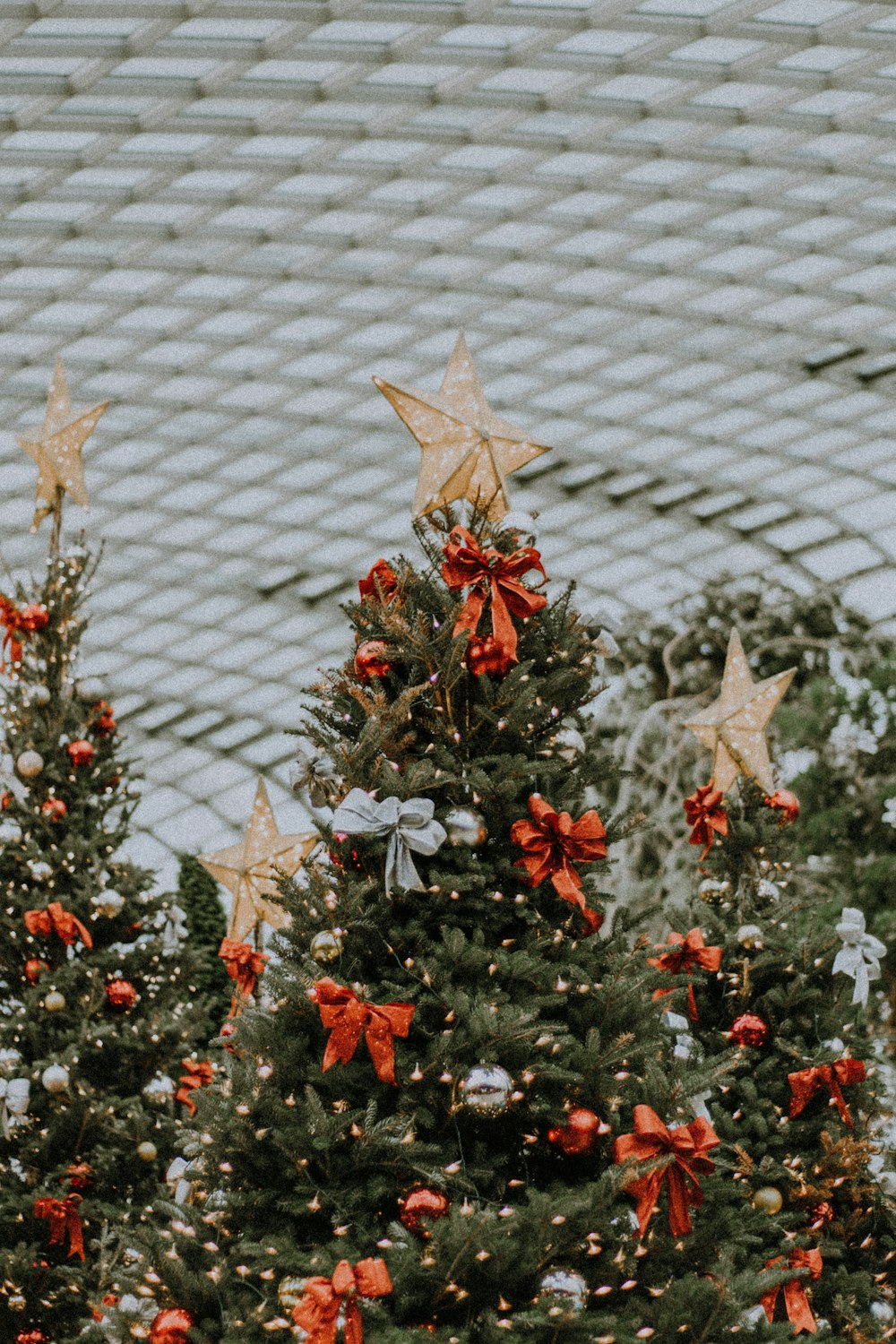 three green Christmas tree during daytime