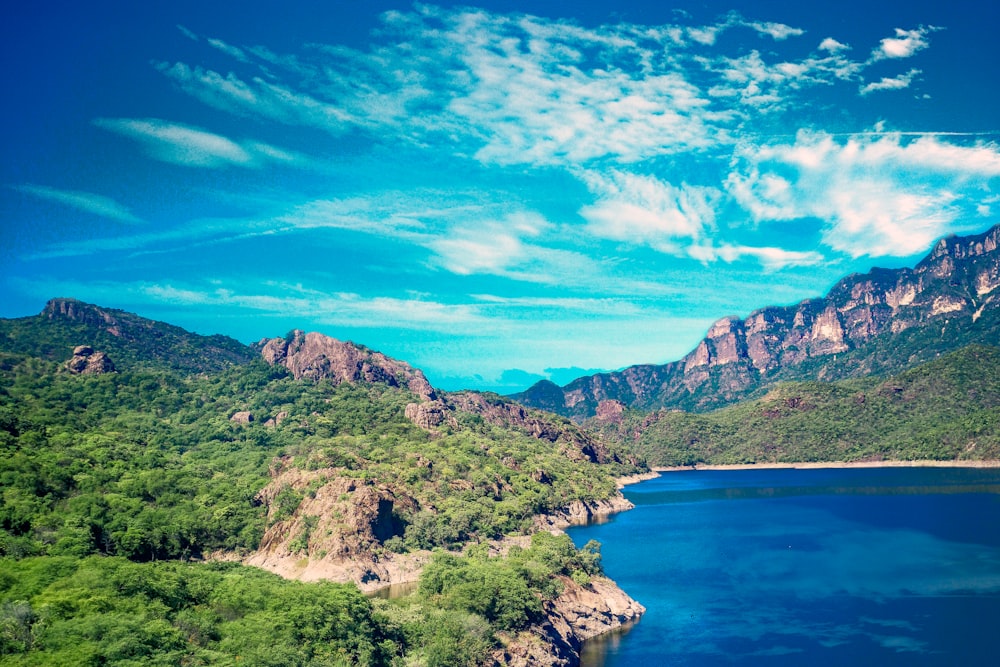 body of water surrounded by trees during daytime