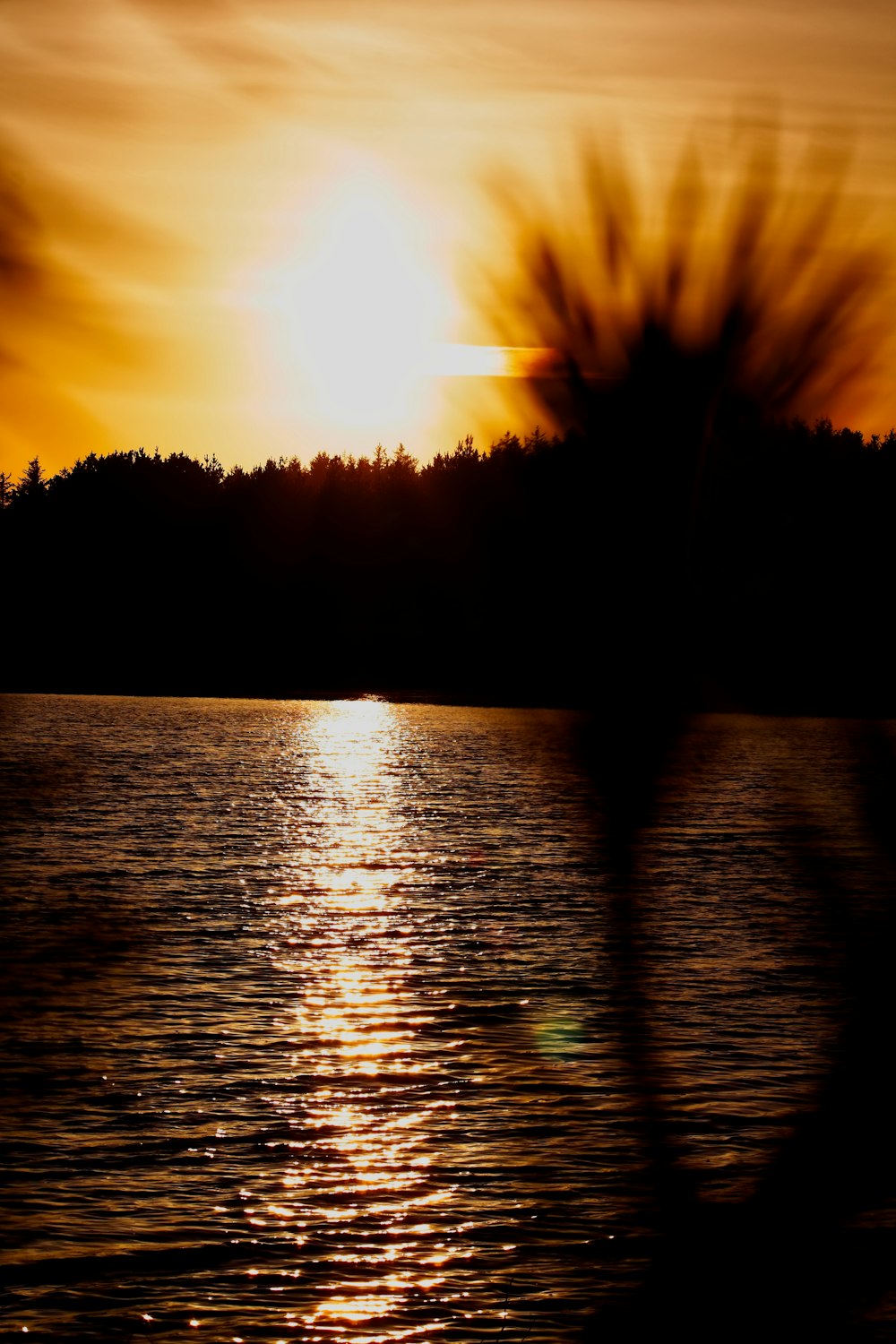 calm water during golden hour