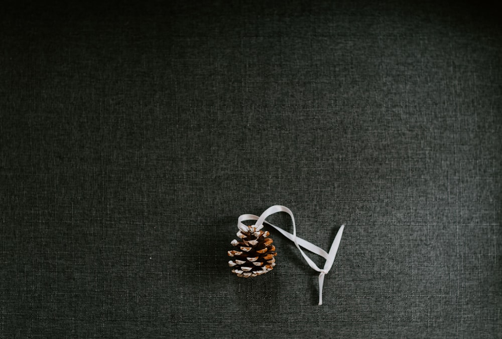 pine cone hanging decor