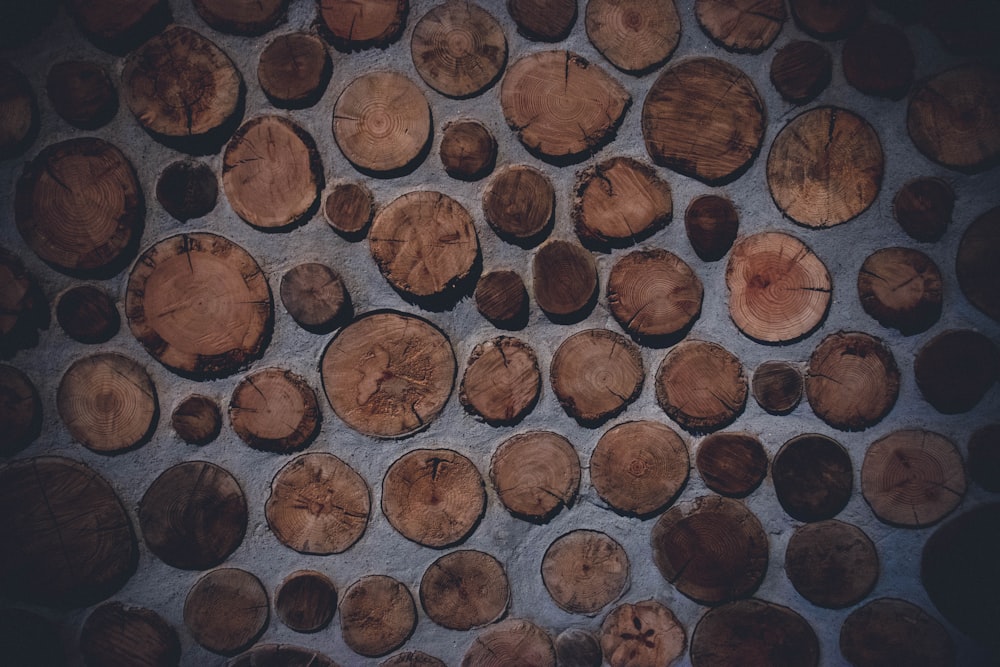 cork wood decors