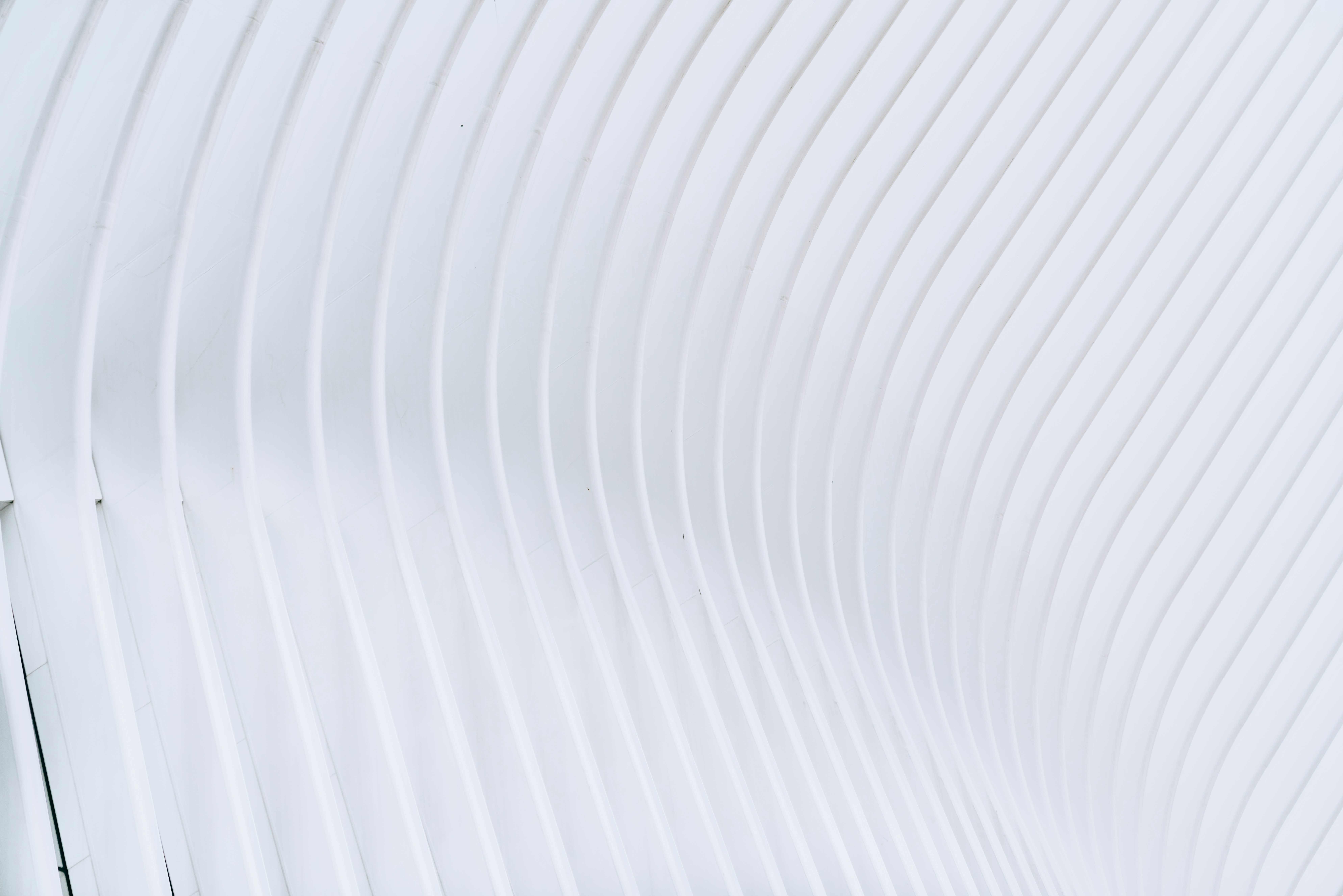 Rover Inu header image