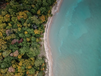 aerial photography of beach