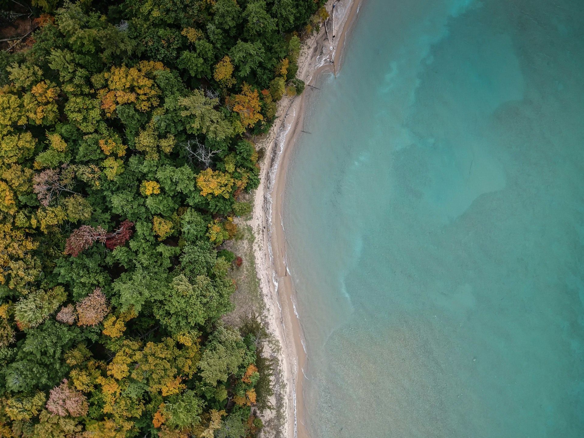 aerial photography of beach