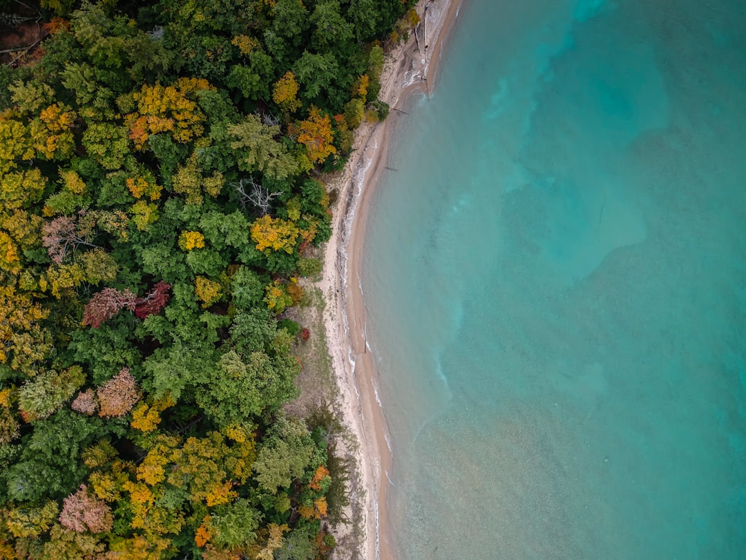 aerial photography of beach