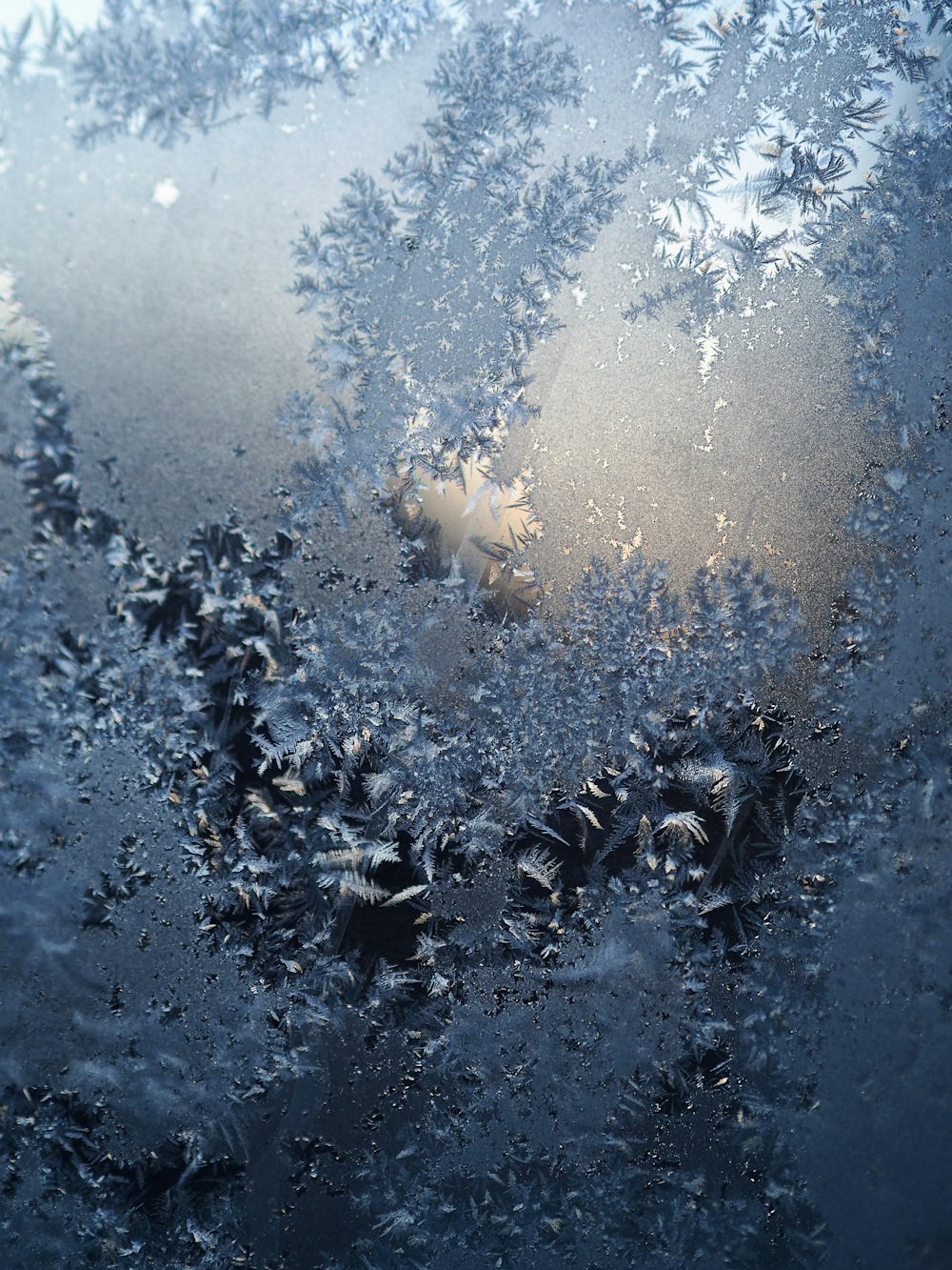 tessuto floreale in bianco e nero