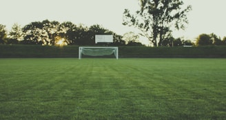 white and black soccer ball