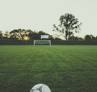 white and black soccer ball