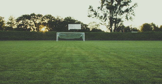 white and black soccer ball