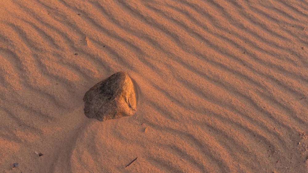 brown rippling desert sand