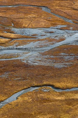 An aerial view of a sprawling African savanna with a winding river cutting through the landscape.