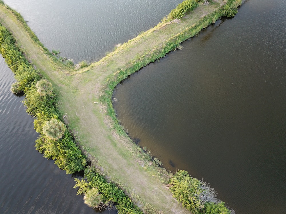 aerial photo of pathway